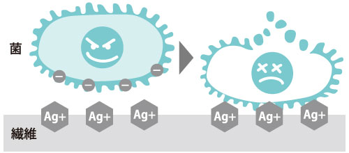 除菌のイメージ