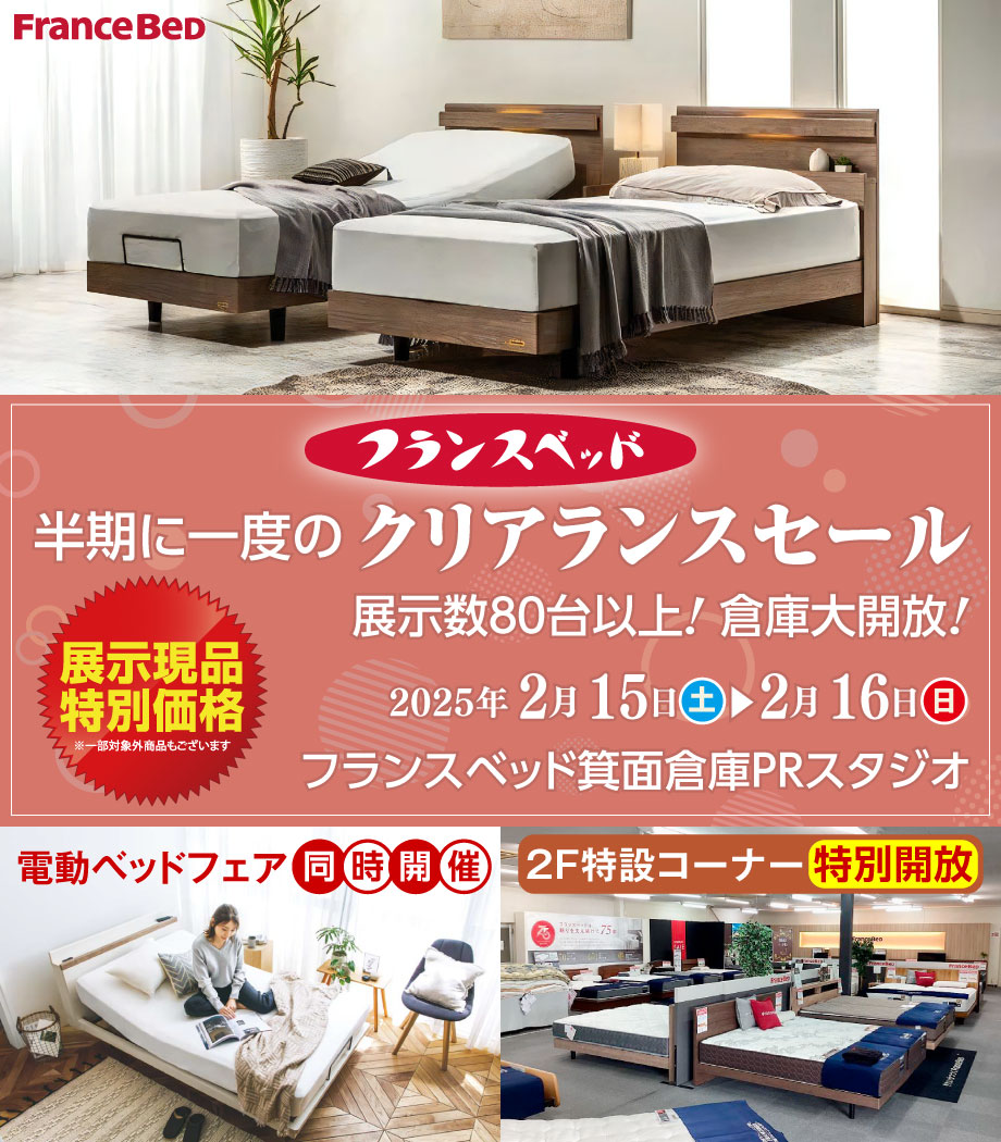 シングルベットフレーム2台同時引き取り限定