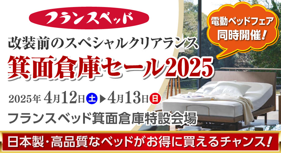 カジュアルなデザインの収納付ソファーベッド「AG-アルマN